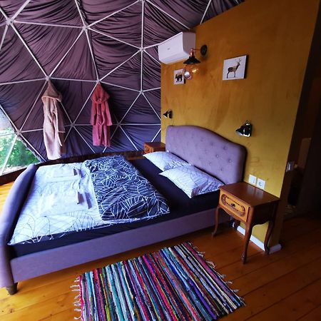 Glamping Zazen Hotel Drumu Carului Eksteriør billede
