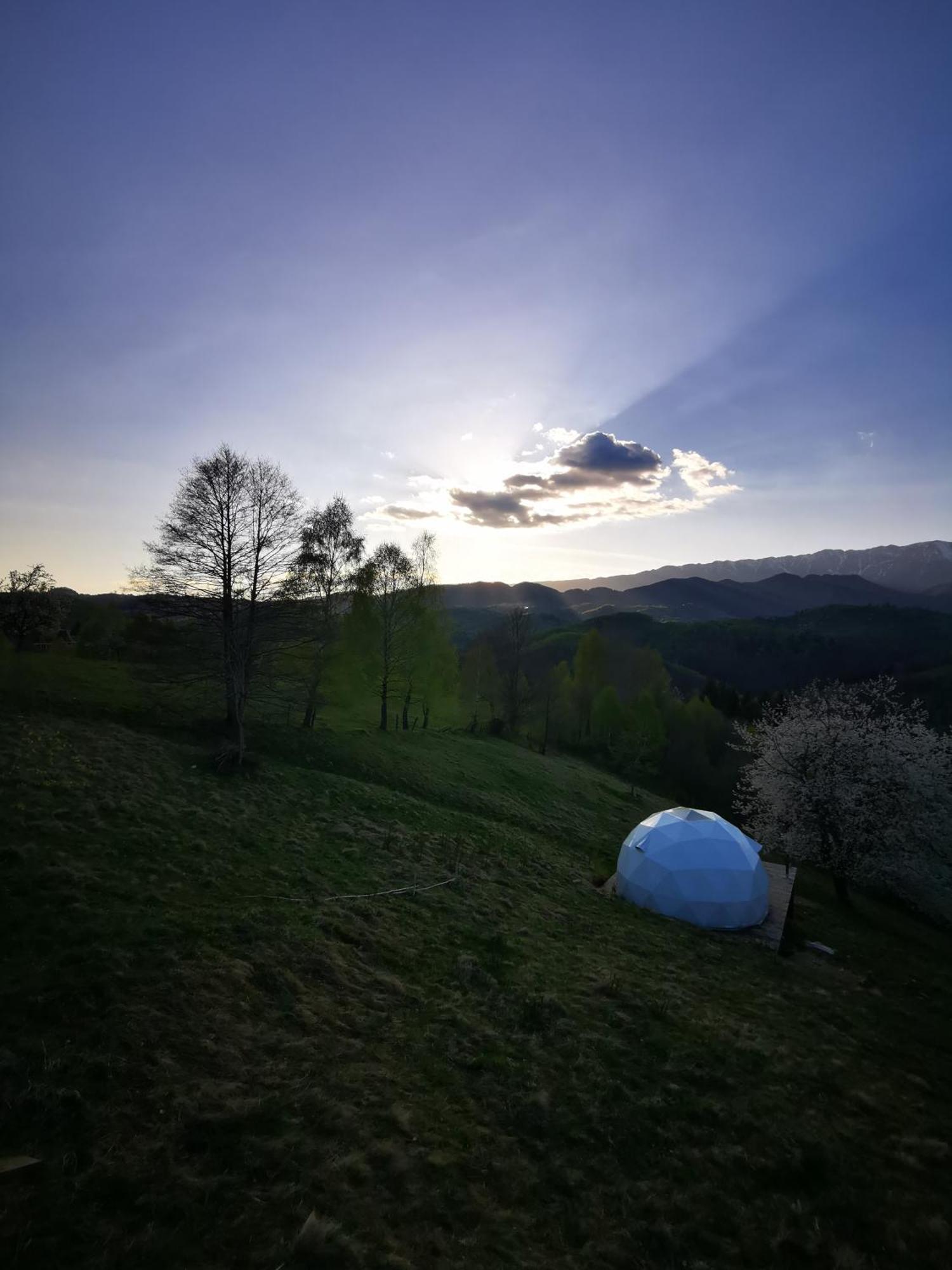 Glamping Zazen Hotel Drumu Carului Eksteriør billede