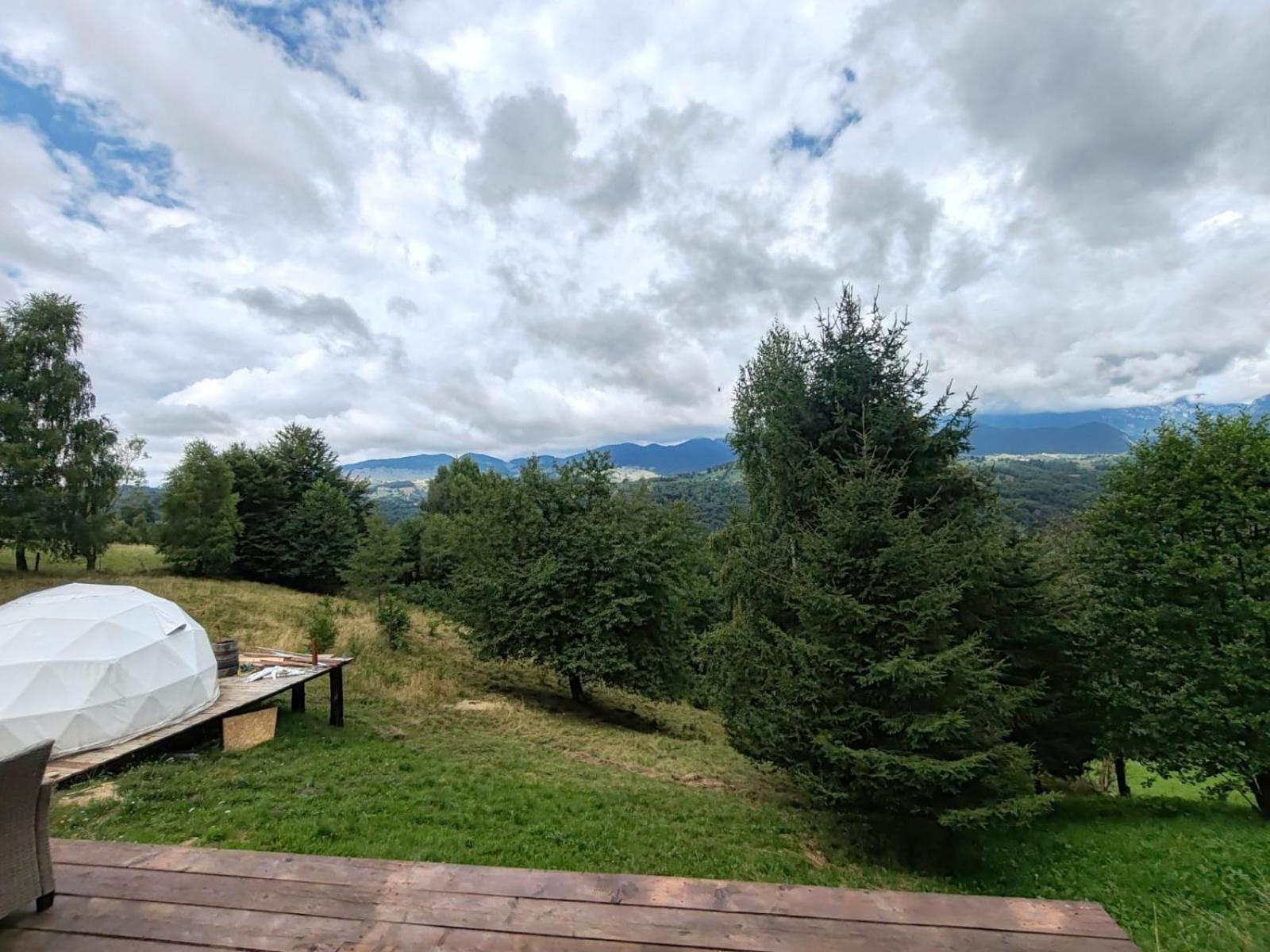 Glamping Zazen Hotel Drumu Carului Eksteriør billede